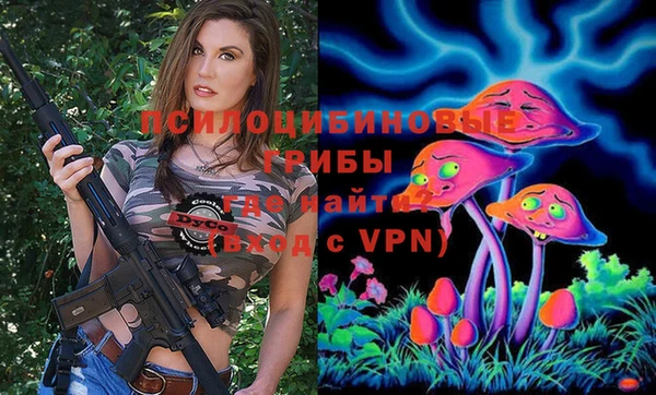 мет Арсеньев