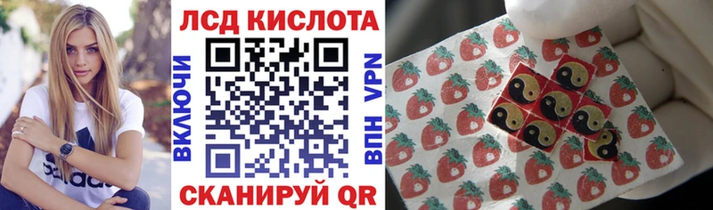 где найти наркотики  Городище  OMG ТОР  Наркотические марки 1,5мг 