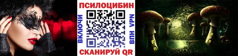 Псилоцибиновые грибы Psilocybine cubensis хочу Городище